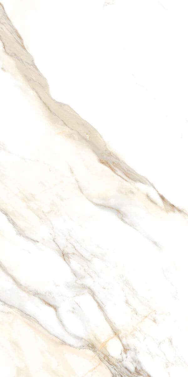 Dorian 12x24 8925 Happy Floors